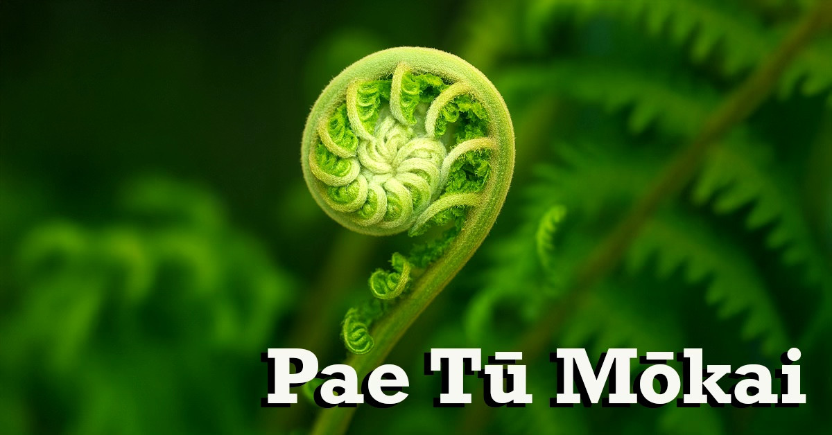 Foundation Skills - Te Reo Māori for Beginners and Intermediate ki Pae tū Mōkai Term 1 2026