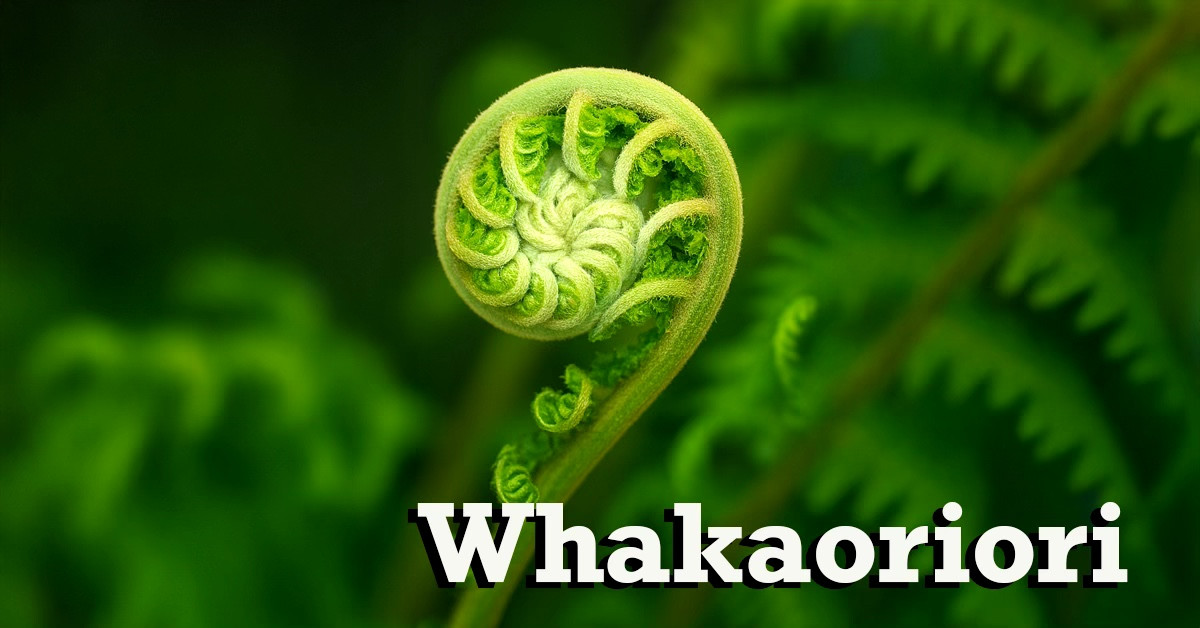 Foundation Skills - Te Reo Māori for Intermediate ki Whakaoriori Term 1 2026