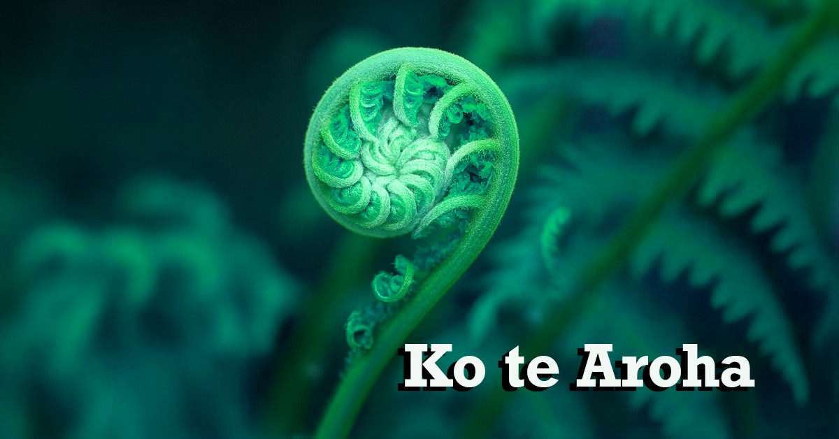 Foundation Skills - Te Reo Māori - Ko te Aroha - Masterton - Term 1 2026