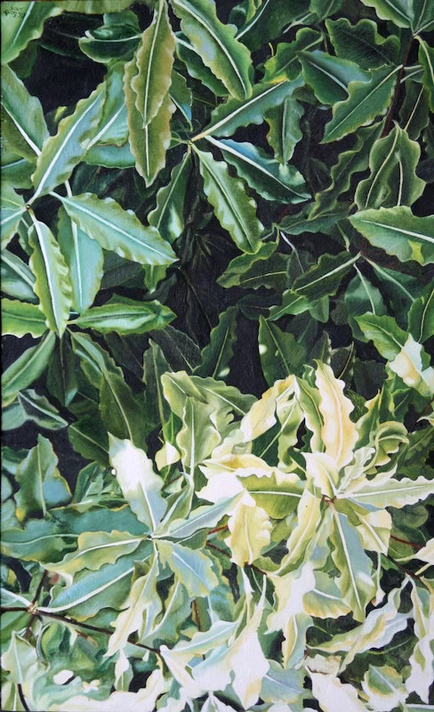 Reap+ Beginner Artist to Exhibiting Artist